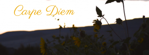 Carpe Diem Facebook Cover